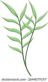 Canas de folhas ovais, bonitas e naturais