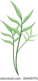 Canas de folhas ovais, bonitas e naturais