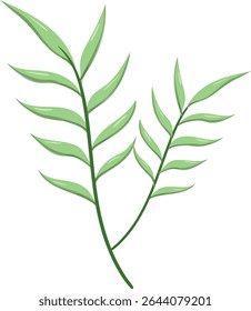 Canas de folhas ovais, bonitas e naturais