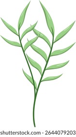 Canas de folhas ovais, bonitas e naturais