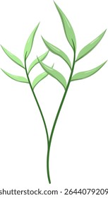 Canas de folhas ovais, bonitas e naturais