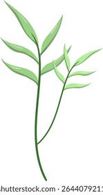 Canas de folhas ovais, bonitas e naturais