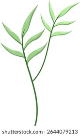 Oval leaved reeds, beautiful and natural