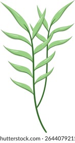 Canas de folhas ovais, bonitas e naturais