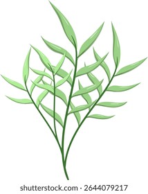 Canas de folhas ovais, bonitas e naturais