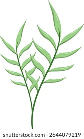 Canas de folhas ovais, bonitas e naturais