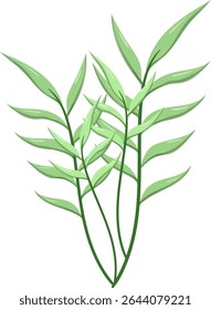 Oval leaved reeds, beautiful and natural