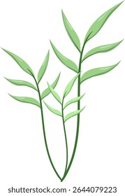 Canas de folhas ovais, bonitas e naturais