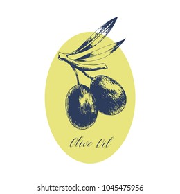 Oval olive oil label. Hand drawn vector illustration. Package design.