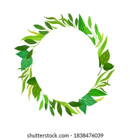 Oval Shaped Frame with Green Leaves or Foliage Vector Illustration