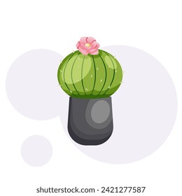 Ovale cactus tree with vase and beautifull flower