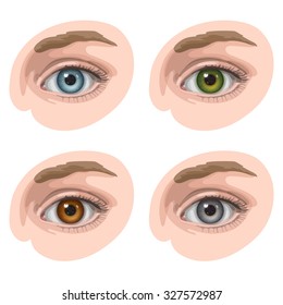 Oval-shaped eyes with blue, green, brown and gray irides, on light skin 