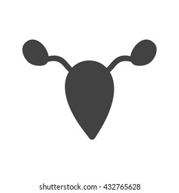 Ovary