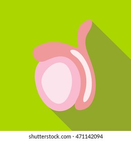 Ovary icon in flat style with long shadow. Female organ symbol