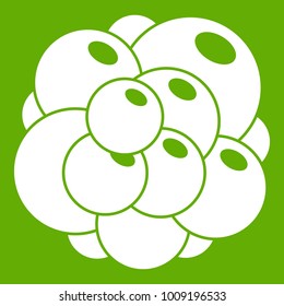 Ovary icon white isolated on green background. Vector illustration