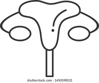 Ovary icon for your project
