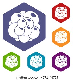 Ovary icons set rhombus in different colors isolated on white background