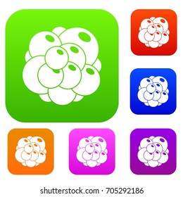 Ovary set icon in different colors isolated vector illustration. Premium collection