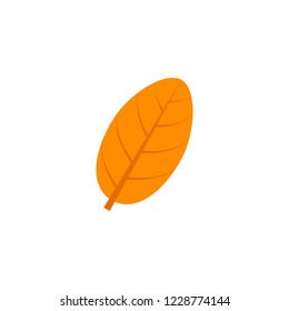 ovate maple leaf flat icon on transparent background