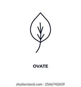 ovate outline icon. Linear vector from nature concept. Thin line ovate icon isolated on white background