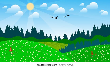 over coniferous forest, fields, hills on which grass, fly agarics and flowers grow, birds fly in the sky with clouds and the sun. summer natural landscape. vector