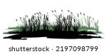 Overgrown coast. Reeds and reeds. Swamp landscape. View of the river bank. Silhouette picture. Isolated on white background. Vector