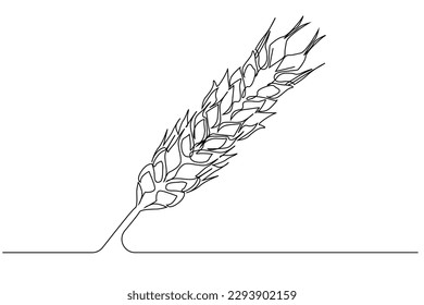 overgrown fresh organic wheat grain agriculture minimalist line art