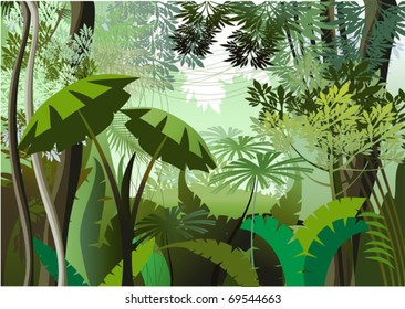 Overgrown plants in the jungle