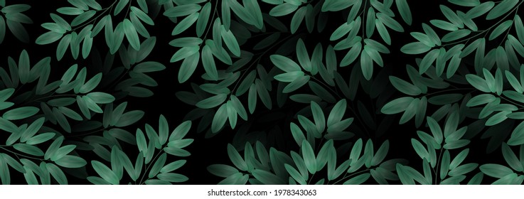 Overgrown tree branches with fresh green leaves. Spring or summer nature Luxurious background. leafing a leaf of a plant on a dark background. Abstract Design Element for Banner.