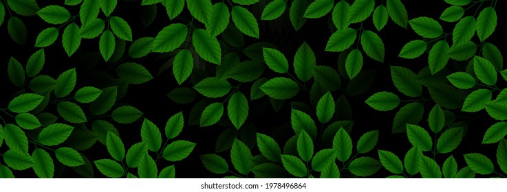 Overgrown tree branches with fresh green leaves. Spring or summer nature Luxurious background. Exotic texture. Botanical design for banner cosmetics spa perfume health care products aroma.