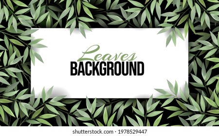Overgrown tree branches with fresh green leaves. Luxury banner background and place for text. Plant branch on a dark background. Spring or summer nature. Promotional template. Abstract Design Element.