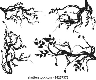 Overgrown wild roots and leaves design elements.