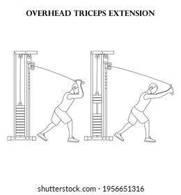 Overhead triceps extension exercise workout vector illustration outline on the white background. Vector illustration