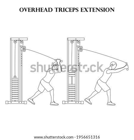 Overhead triceps extension exercise workout vector illustration outline on the white background. Vector illustration