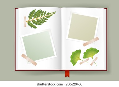 Overhead view of opened photo album with scraps of blank photo frames clipped on it and dried leaves of fern and ginkgo. Scrapbook or herbarium book template. Copy space. Vector is EPS10.