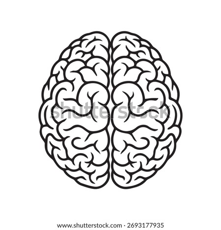 Overhead view of stylized human brain anatomy outline icon symbol for medical science neuroscience psychology education and healthcare concepts