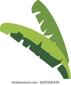 Sobreposição de folhas de bananeira em camadas verdes, estilo tropical detalhado perfeito para temas de selva, gráficos de resorts e cenas exuberantes.
