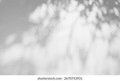 Sobreposição de sombras de gobo de árvore abstrata em um plano de fundo de vetor transparente