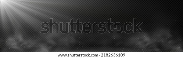 Overlay effect of white light ray, fog and dust\
isolated on transparent background. Vector realistic background\
with sunlight or lamp beams, clouds of smoke or mist and flying\
particles