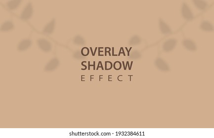 Overlay shadow effect. Mockup of transparent leaf shadow overlay effect. Vector background