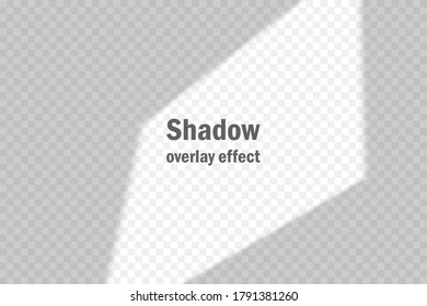 Overlay shadow effect. Sunlight from window. 10 eps design. Gradient mesh. Transparent shadow. Summer template for branding, invitation, advertising etc.