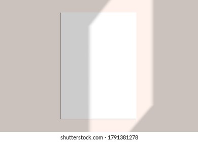 Overlay shadow effect. Sunlight from window. 10 eps design. Gradient mesh. Blanks and cards mock up. Summer template for branding, invitation, advertising etc.
