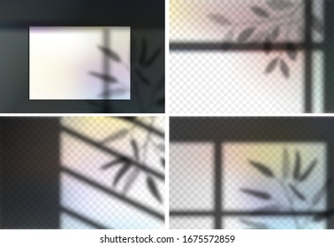 Overlay shadows mock ups effects transparent set for presentation. Horizontal format mockups. Scenes of natural lighting. Realistic vector illustration. Leaves and window frames colorful overlays 