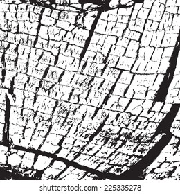 Overlay Stump Texture for your design. EPS10 vector.