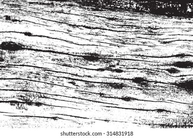 Overlay Texture - Dry Wood, for your design. EPS10 vector.
