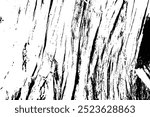 Overlay of tree wood texture bark. Black white wooden background surface with natural pattern. Vector plank wood texture. 
