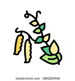 overripe peas color icon vector. overripe peas sign. isolated symbol illustration