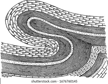 An overthrust anticline of a strata fold, a reverse fault, and each half of the fold dips away from the crest, vintage line drawing or engraving illustration.