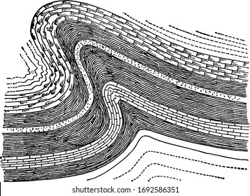 An overthrust anticline of a strata fold, a reverse fault, the rocks on the upper surface of a fault plane moved over the rocks on the lower surface, vintage line drawing or engraving illustration.