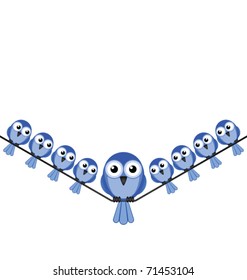 Overweight bird sat on a wire isolated on white background with copy space